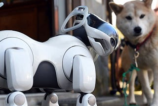Future Robot Pets- End of The Road For Man’s Best Friend?
