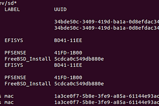 Forensic Mounting of Disk Images using Ubuntu 20.04