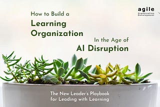 How to Build a Learning Organization in the Age of AI Disruption
