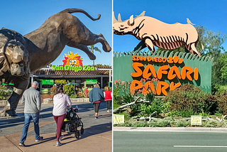 Differences Between San Diego Zoo vs Safari Park