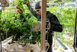 Urban Agriculture Story: From NASA science to indoor gardening with Vertiponic