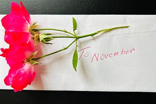 Letter to November