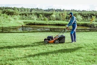 Why Hire a Lawn Care Professional?