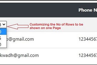 Angular Tutorials: Creating and Customizing the ngx-pagination Library