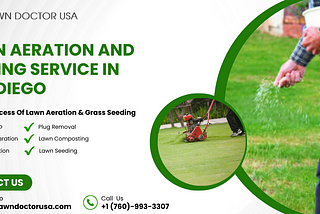 Lawn Aeration and Seeding Service In San Diego