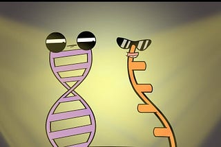 Processing DNA and RNA from Whole Blood