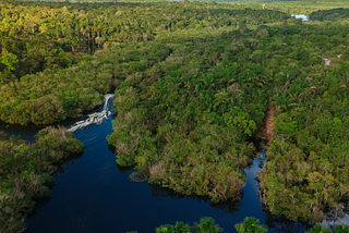 Amazon forest photo by Phaelnogueira on Canva: https://www.canva.com/photos/MAFmRE99MSM-aerial-view-of-the-amazon-rainforest-in-brazil