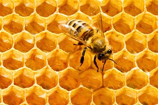 If you want to collect honey, don’t kick over the beehive.