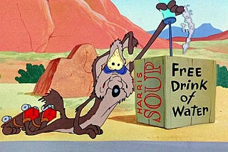 Coyote Was There