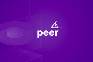 Introducing Peer—A Mixed Reality Educational Experience