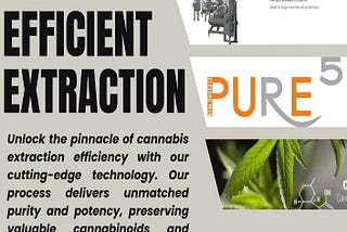 Top 3 Best Cannabis Oil Extraction Methods