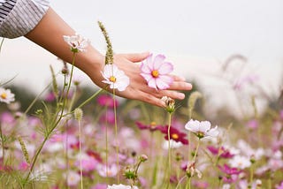 Two Years Ago I Asked My Therapist If I Would Ever Heal, This Is What I Learned.