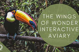 Spotlight: Wings of Wonder Aviary