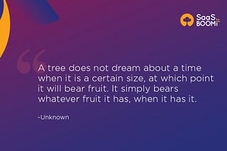 The spirit of SaaSBooMi as a community and its purpose.