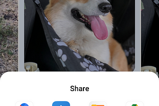 Share photo with the Local Share to Computer app