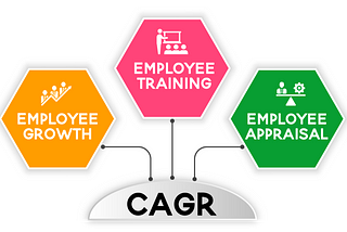 What is CAGR and why is it necessary?