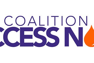 Launching an Advocacy Website in 7 Days: The Coalition for Access Now