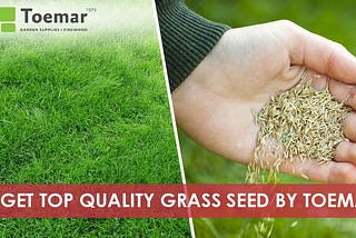 Get Top Quality Grass Seed by Toemar