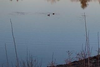 Rippling Away from the Past Toward a Better Tomorrow