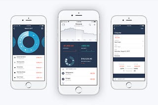 I didn’t like any of the finance apps for iPhone. So I designed my own.