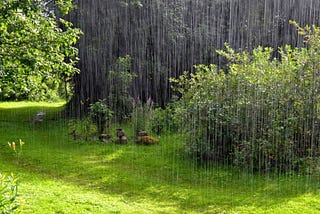 Love the rain: A celebration of Nature’s Gift
