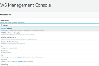 Terraform(AWS) EC2 and System Manager