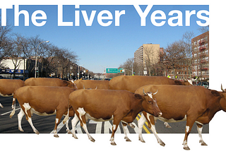 The Liver Years