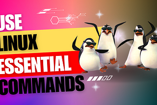 How to use Essential Linux Commands