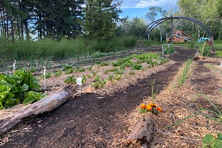A large garden plot with flowers and vegetables growing.