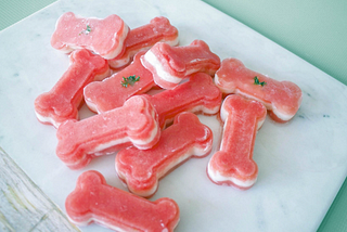 Pawfect Summer Treats