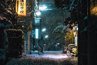A Snowy Winter Day in Tokyo