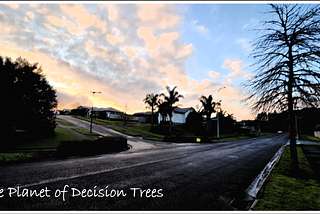 Decision Tree Classifiers | Let’s talk about them…