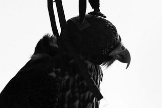 The Caged Falcon