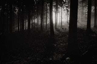 On Trees and Stories