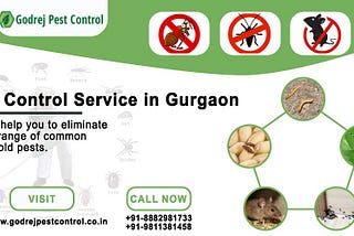 Pest Control Gurgaon