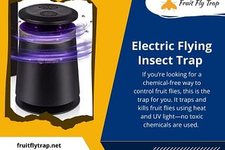Electric Flying Insect Trap