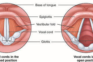 จะออกเสียง –ed ท้ายคำกริยาอย่างไรให้ใกล้ Native Speakers (Part 1)