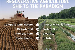 Regenerative Agriculture: What is it and Why You Should Support It