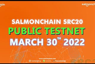 How to add network on Public Testnet Salmonchain (SRC-20)?