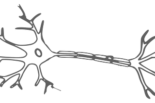 McCulloch-Pitts Neuron vs Perceptron model