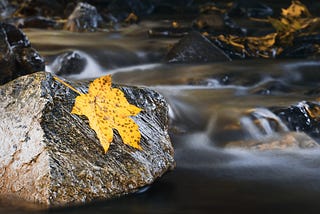 Living with the Flow vs. Living Intentionally