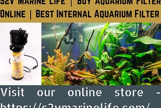 pick right best internal aquarium filter | buy aquarium filter online