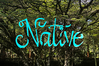 Discover Kenya’s indigenous trees on Shop Nanjala’s website
