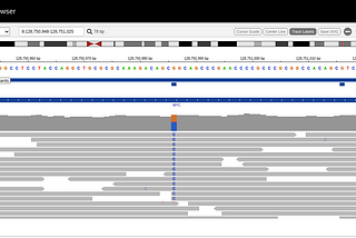 Creating an IGV genome browser using igv.js and React