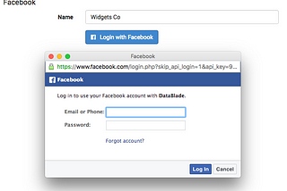 Easily track your Facebook campaigns using DataBlade