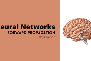 Feed Forward Neural Networks | Intuition on Forward Propagation