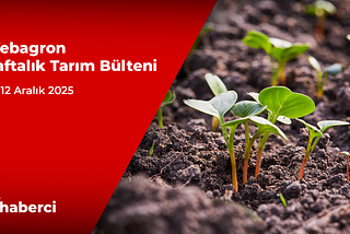 Webagron Haftalık Tarım Bülteni: 8–12 Aralık 2025