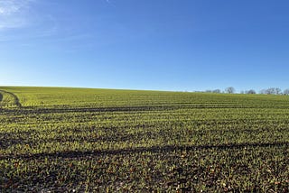 Green meadows and a clear blue sky, not in France