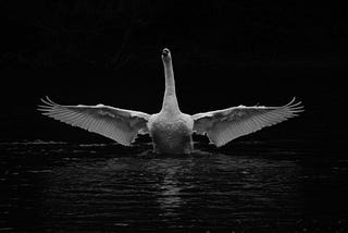 Re-Visioning # 1: A conversation with Simon Withers