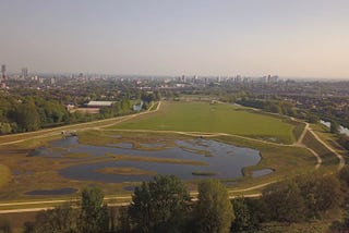 Salford Wetlands. CREDIT: Luke Blazejewski